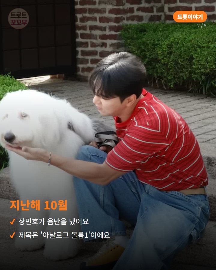 지난해 10월 — 장민호가 음반을 냈어요 제목은 '아날로그 볼륨1'이에요 (장민호 '내 곁에 있어주', 큰 개 만난 앨범 비하인드 2번째 카드)