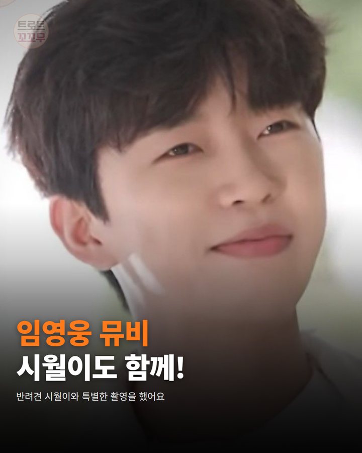 임영웅, 시월이와 즐거운 뮤비 촬영 비하인드! 팬심 울린 노래 이야기도 있어요 카드뉴스 표지
