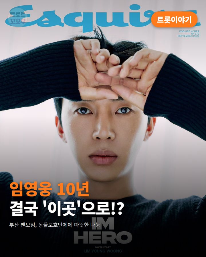 임영웅 데뷔 10주년, 부산 밤하늘에 뜬 따뜻한 소식 카드뉴스 표지