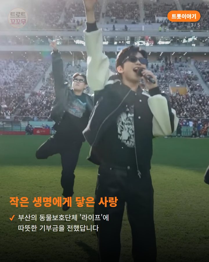 작은 생명에게 닿은 사랑 — 부산의 동물보호단체 '라이프'에 따뜻한 기부금을 전했답니다 (임영웅 데뷔 10주년, 부산 밤하늘에 뜬 따뜻한 소식 3번째 카드)